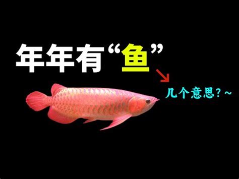 魚 意思